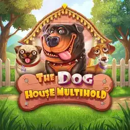 The Dog House Multihold game at Golden Tiger Casino for Canada players